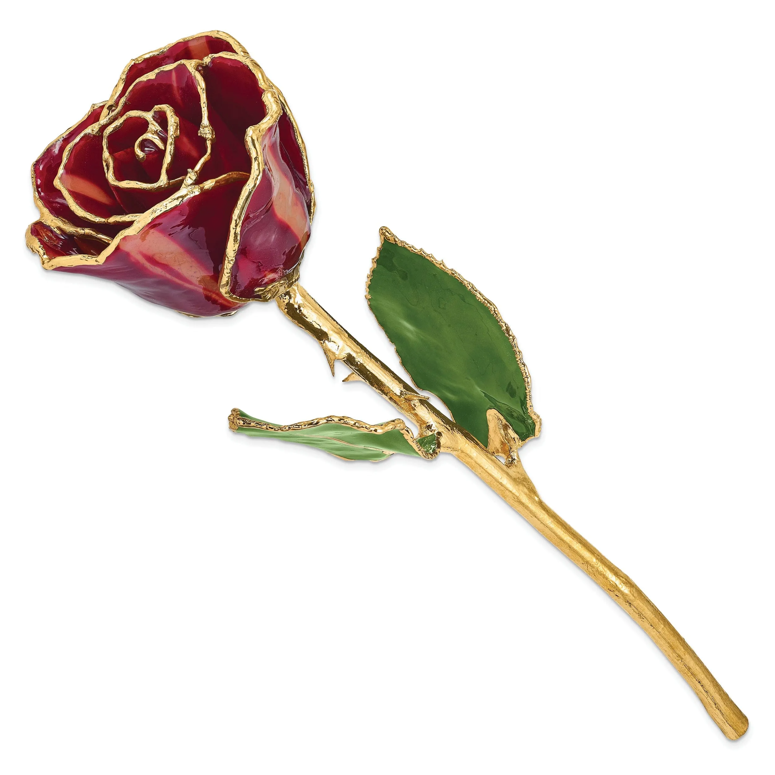 24k Gold Plated Trim Abracadabra Rose