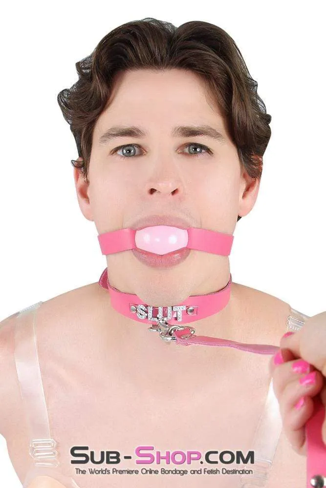 2541A-SIS      Sissy Boi Bitch Hot Pink Classic Leather Ball Gag Dominant Woman Strap, Candy Pop Pink Ball