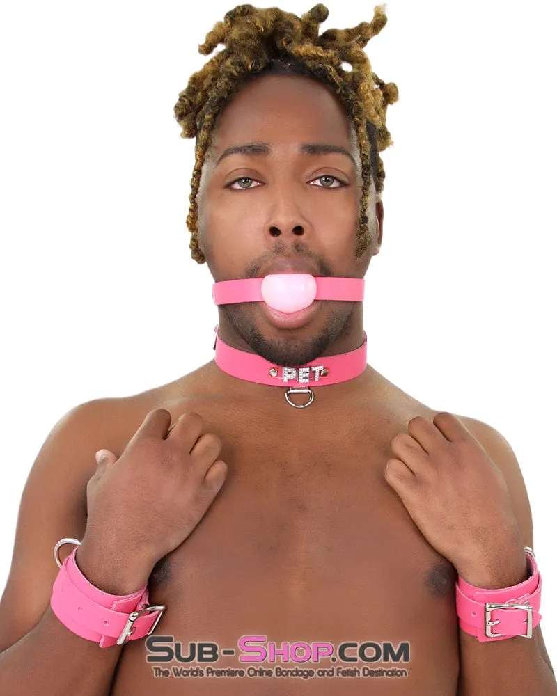 2541A-SIS      Sissy Boi Bitch Hot Pink Classic Leather Ball Gag Dominant Woman Strap, Candy Pop Pink Ball