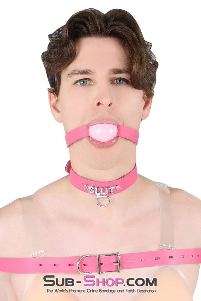 2541A-SIS      Sissy Boi Bitch Hot Pink Classic Leather Ball Gag Dominant Woman Strap, Candy Pop Pink Ball