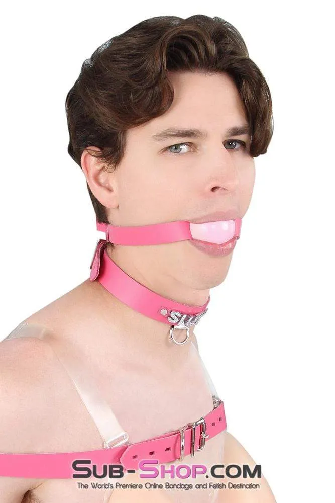 2541A-SIS      Sissy Boi Bitch Hot Pink Classic Leather Ball Gag Dominant Woman Strap, Candy Pop Pink Ball
