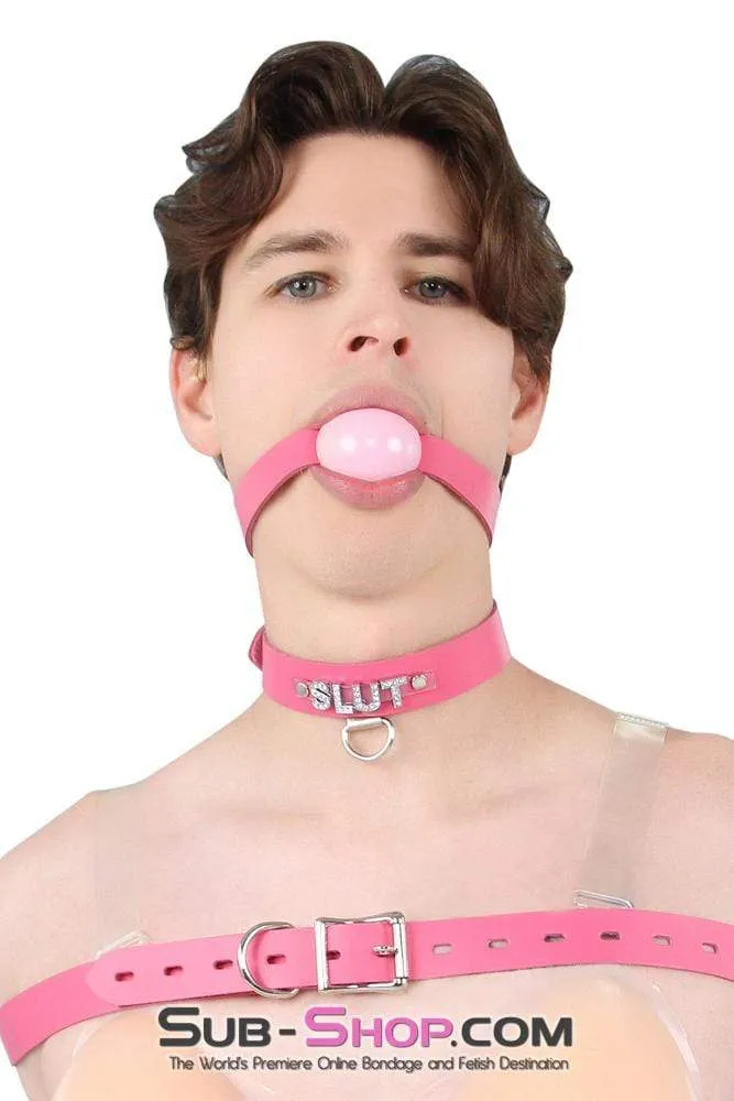 2541A-SIS      Sissy Boi Bitch Hot Pink Classic Leather Ball Gag Dominant Woman Strap, Candy Pop Pink Ball