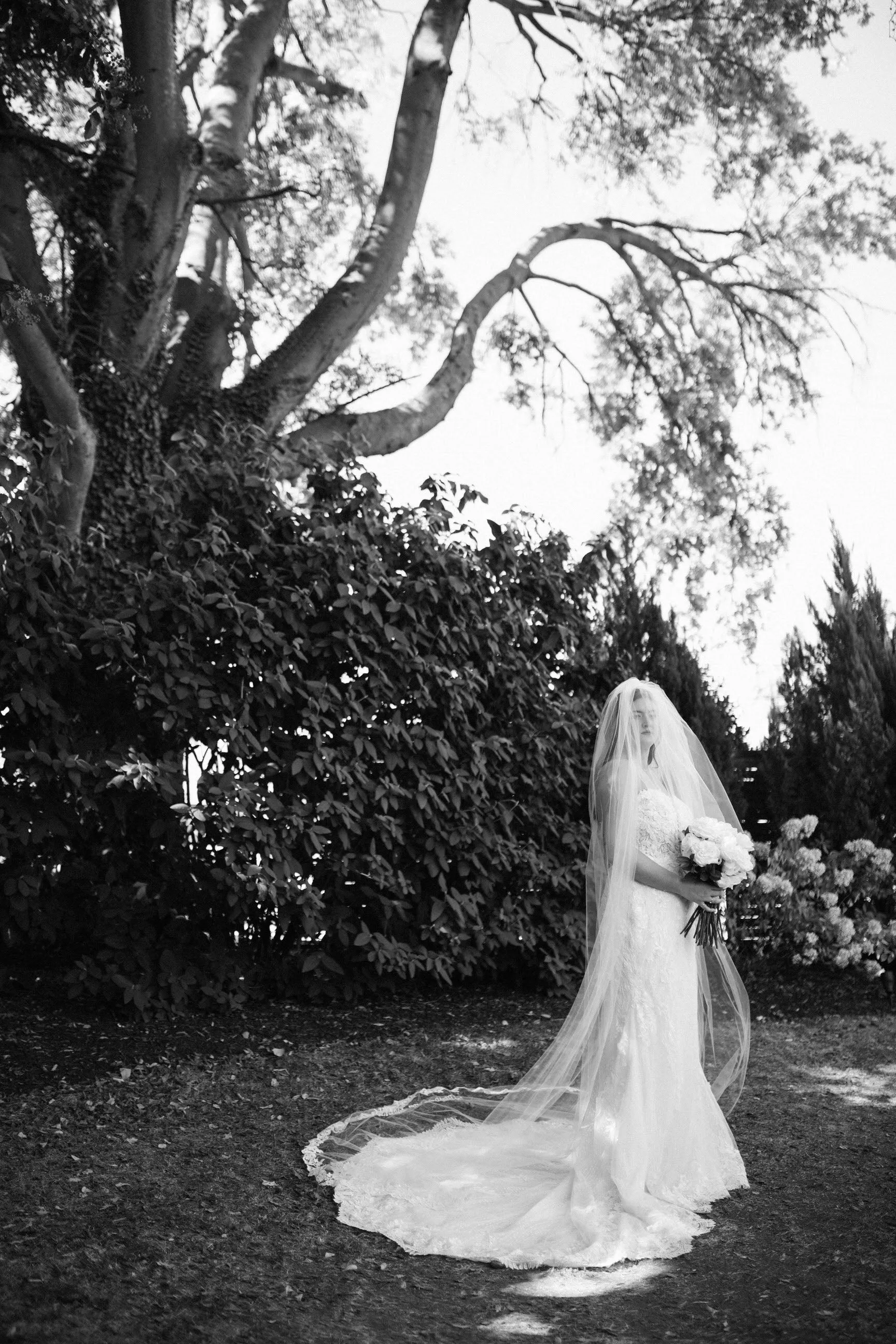Cathedral Drop Veil with Lace Trim & Blusher, White/ Off White/ Ivory Lace Wedding Veil