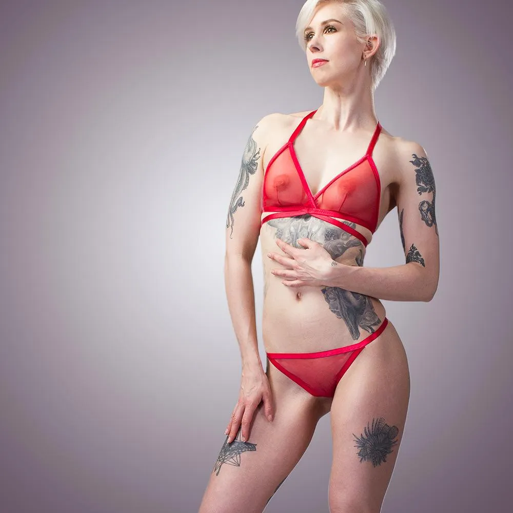 Classic Sheer Mesh Panty