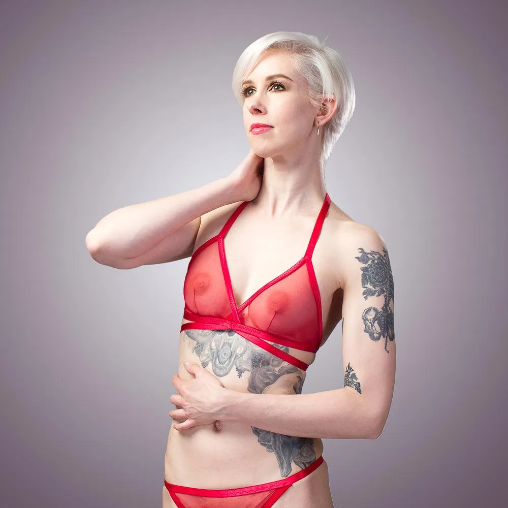 Classic Sheer Mesh Panty