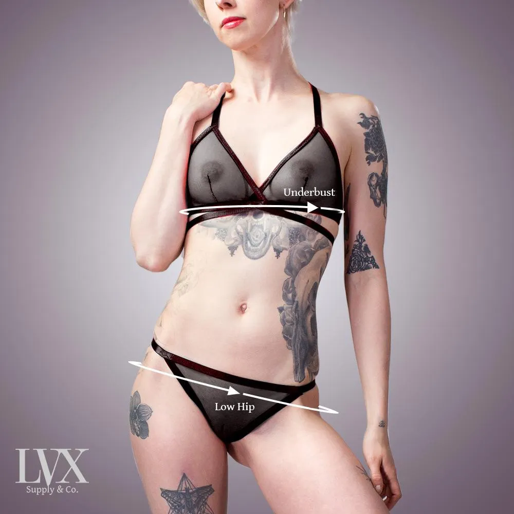 Classic Sheer Mesh Panty