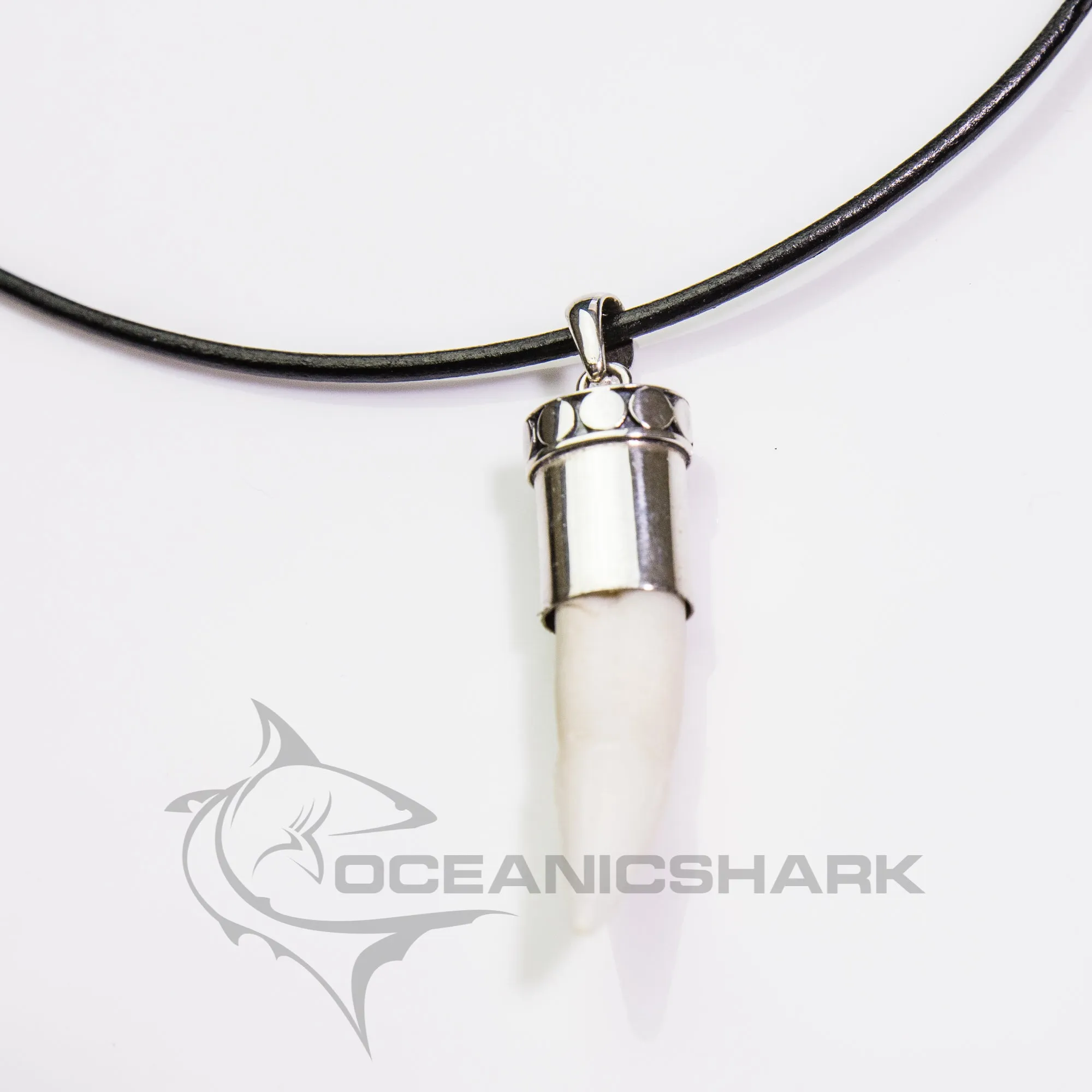Crocodile Tooth Pendant s36