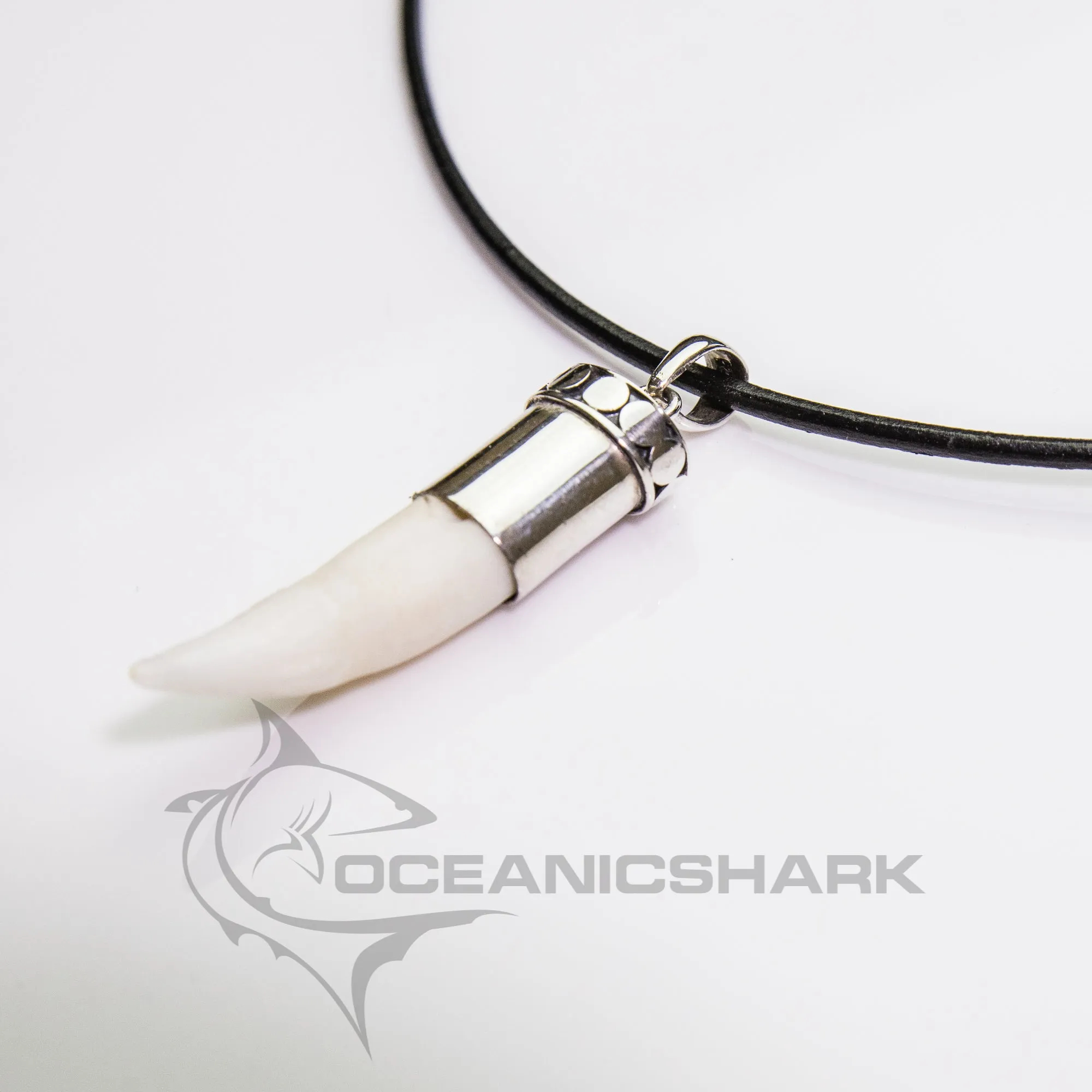 Crocodile Tooth Pendant s36
