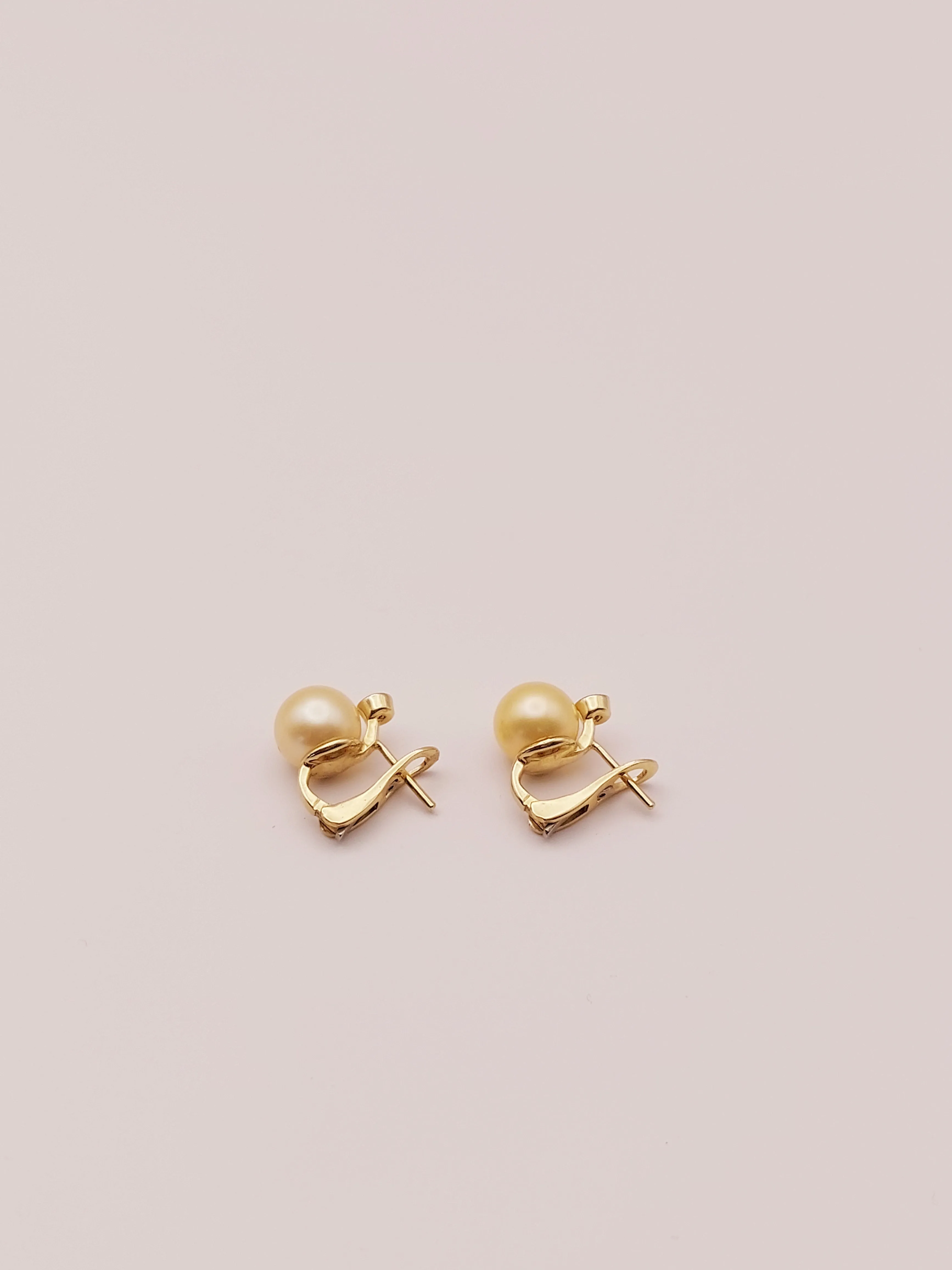 Golden South Sea Pearl Earrings
