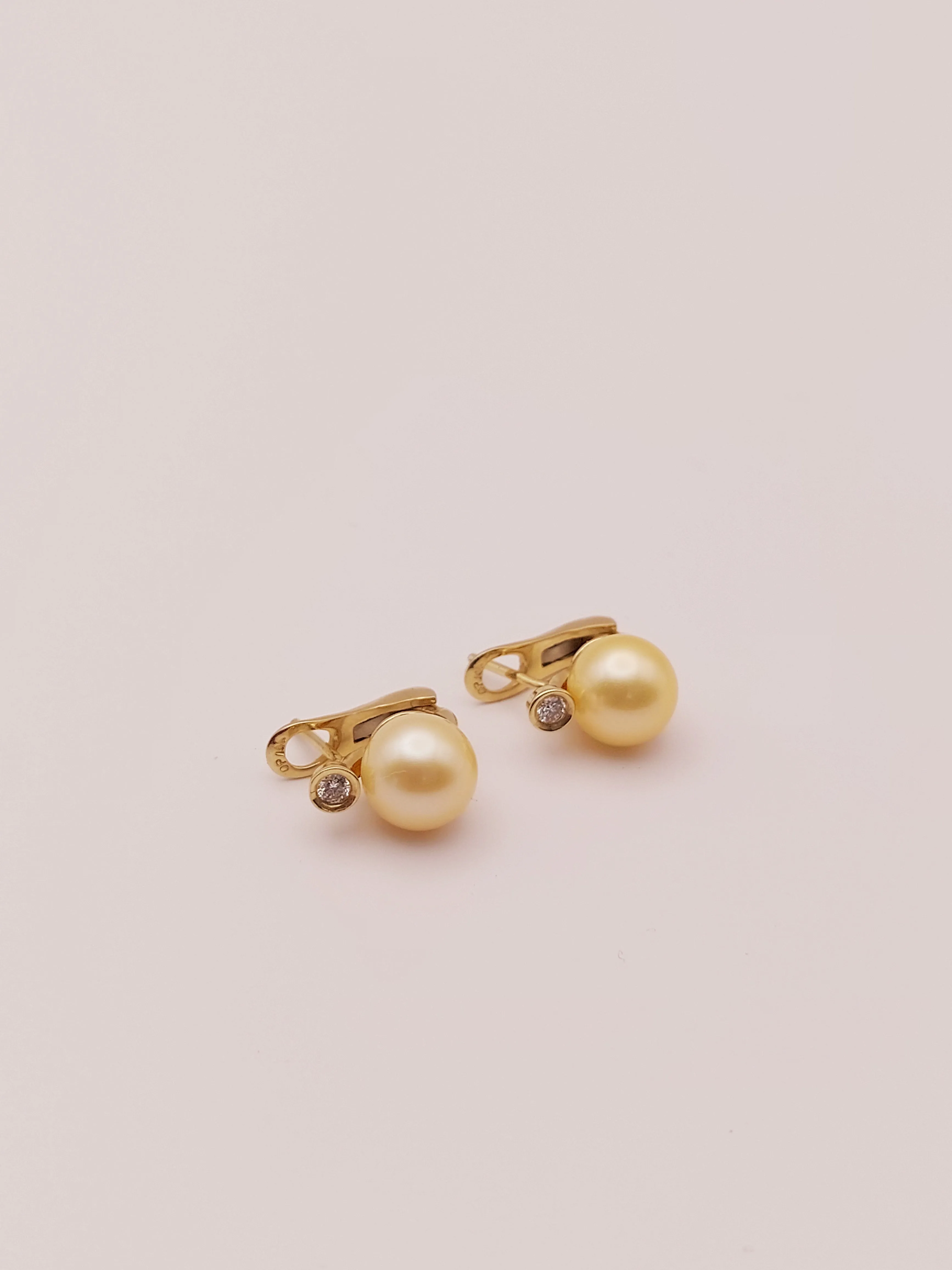 Golden South Sea Pearl Earrings