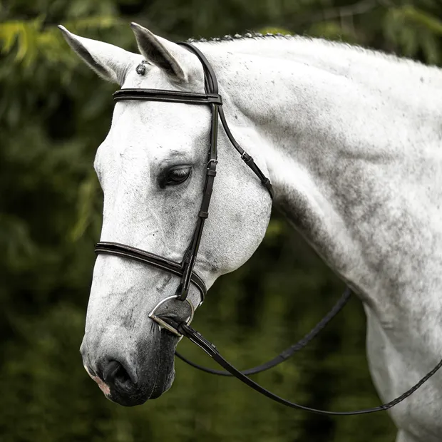 HDR Advantage Black Plain Raised Bridle with Reins   Free Name Tag