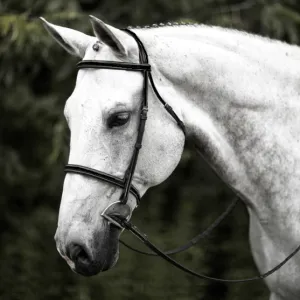 HDR Advantage Black Plain Raised Bridle with Reins   Free Name Tag