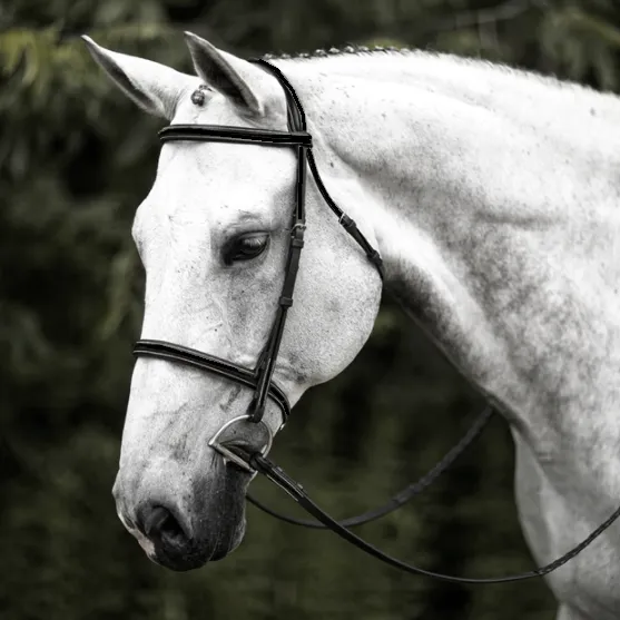HDR Advantage Black Plain Raised Bridle with Reins   Free Name Tag