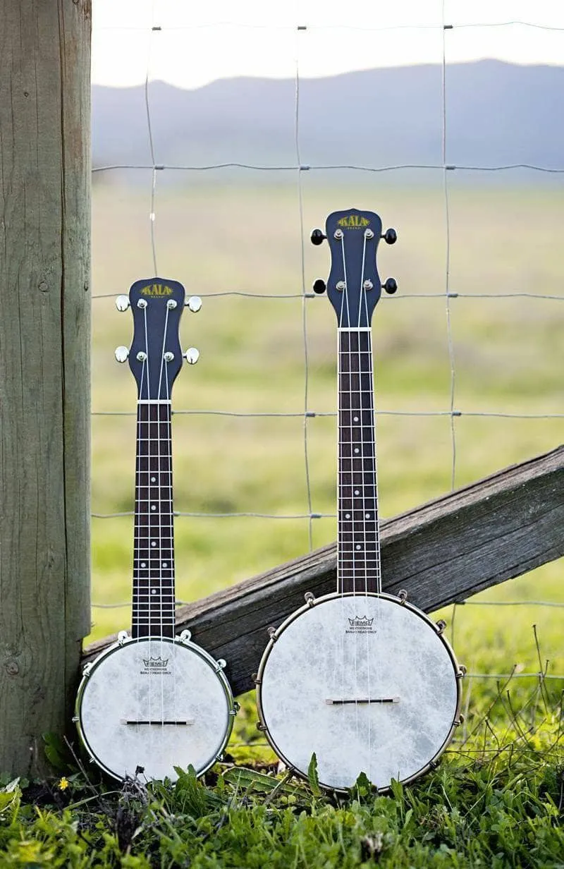 Kala Concert Banjo Ukulele