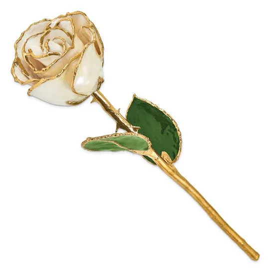 Lacquer Dipped 24k Gold Trim White Satin Real Rose