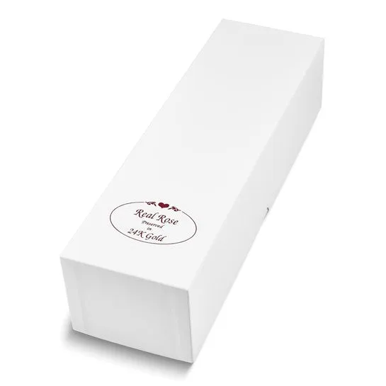 Lacquer Dipped 24k Gold Trim White Satin Real Rose