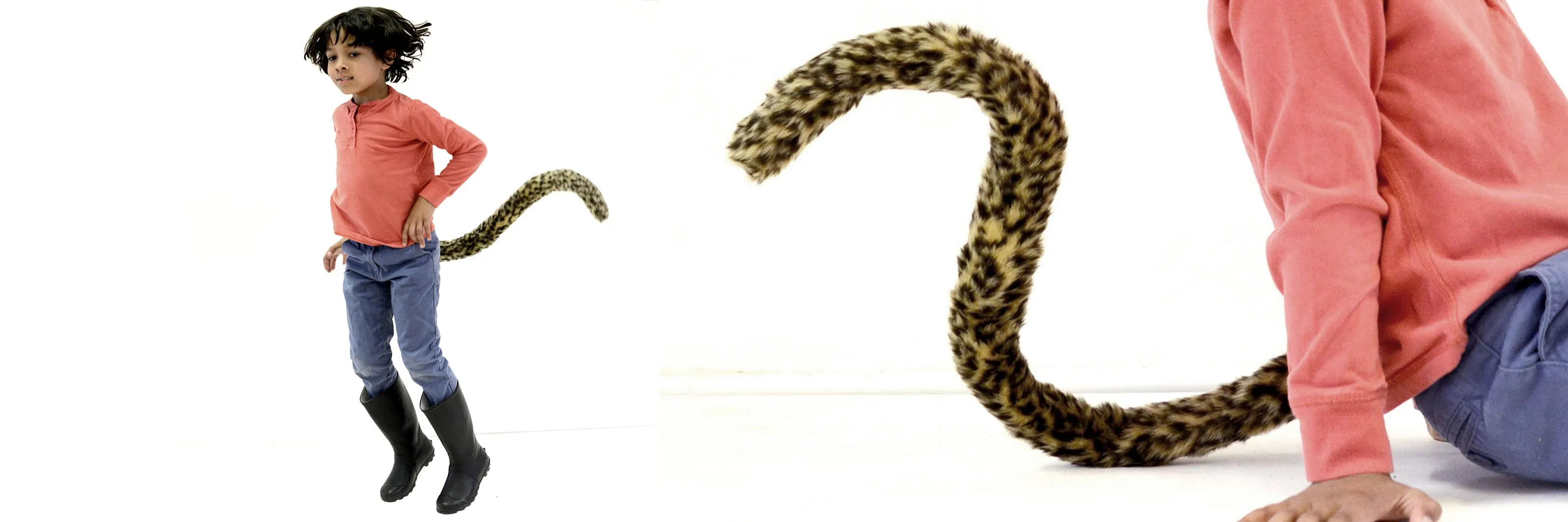 Leaping Leopard