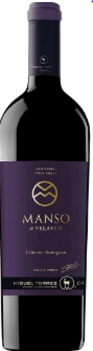 Miguel Torres Manso de Velasco 2019
