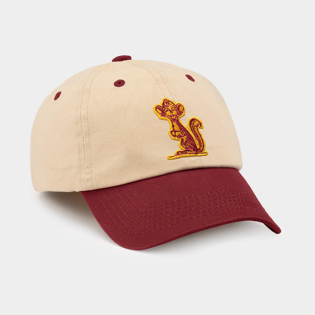 Minnesota Vintage Golden Gopher Two-Tone Dad Hat