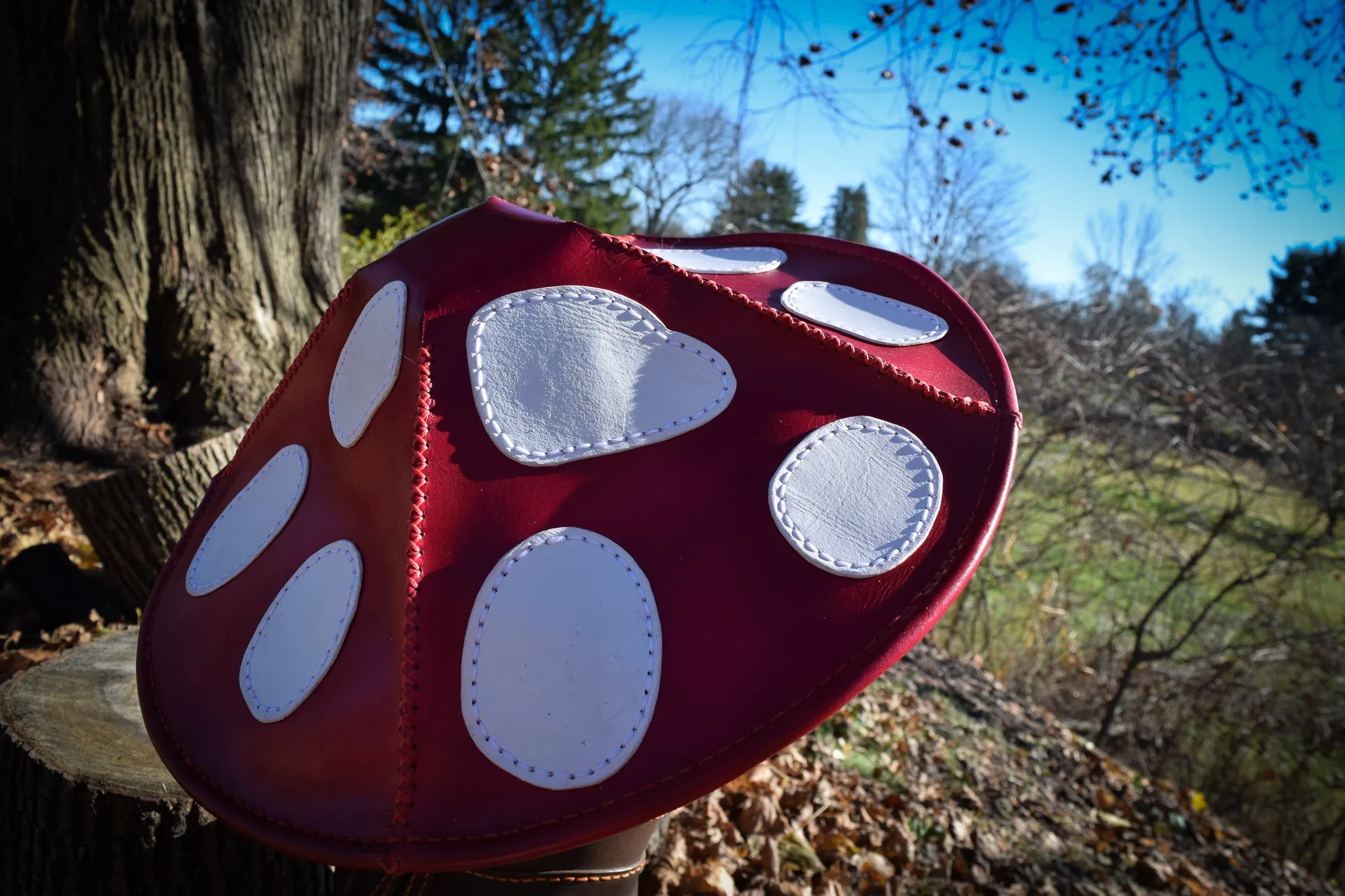 Mushroom Hat, Leather (Choose your size)