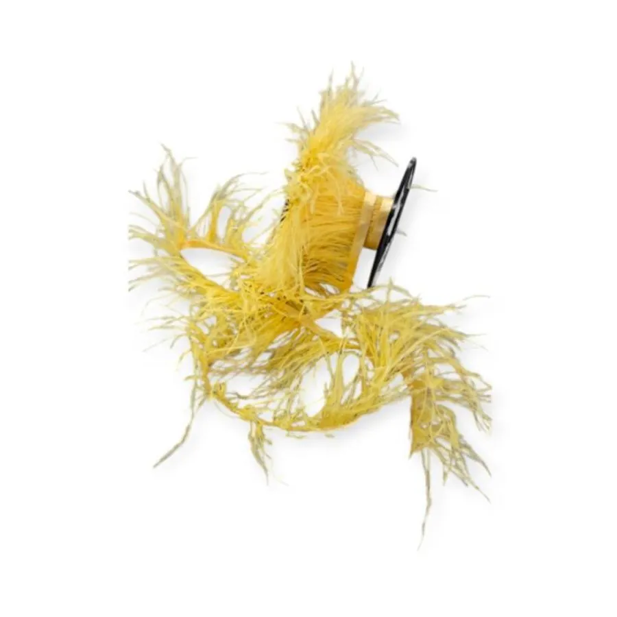 Ostrich Feathers
