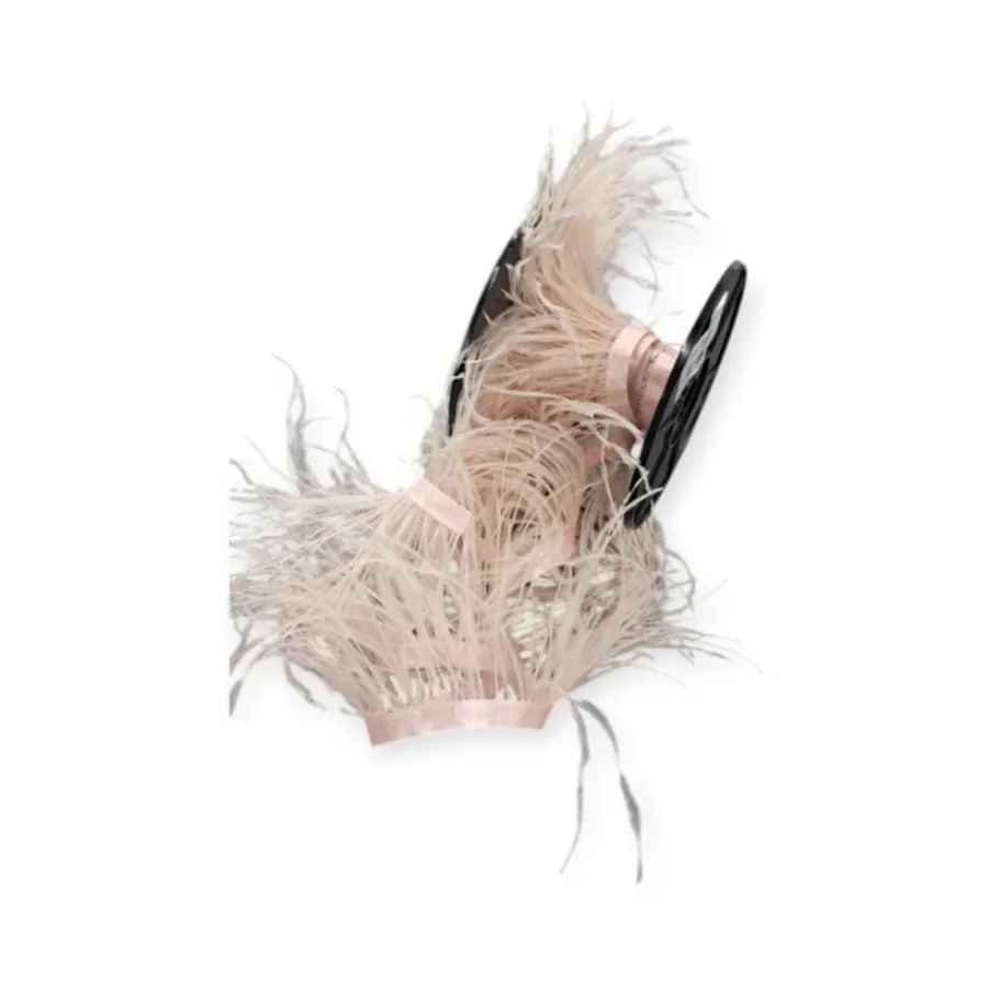 Ostrich Feathers