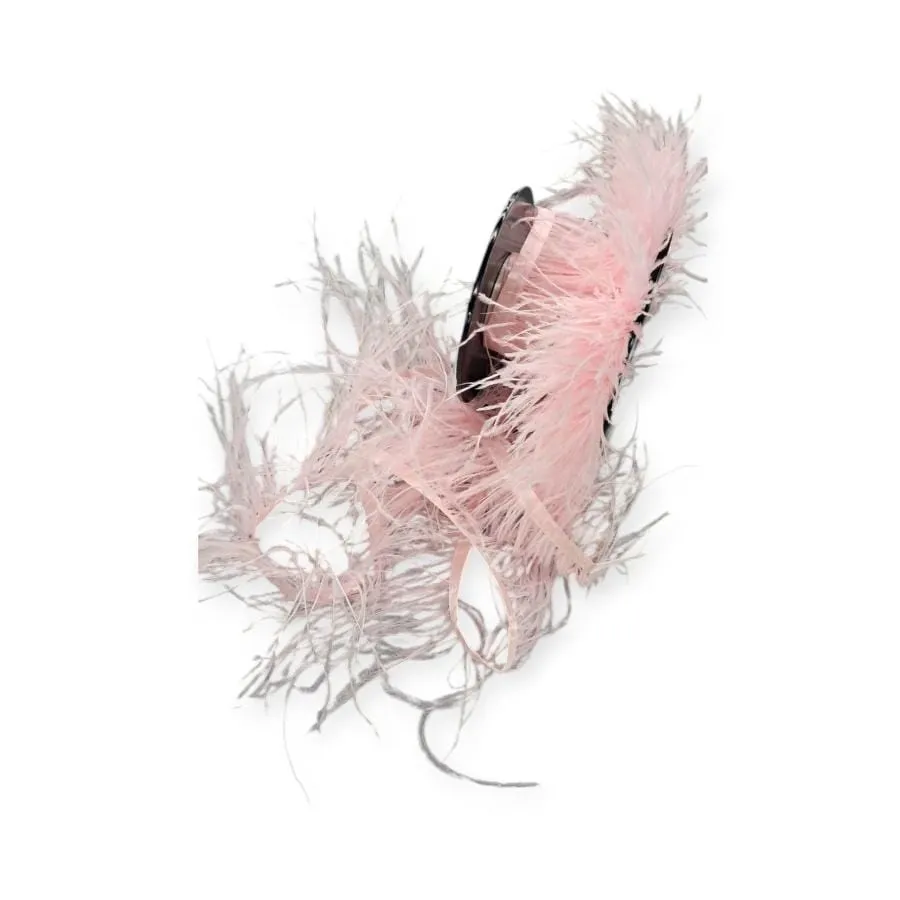 Ostrich Feathers