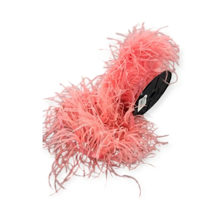 Ostrich Feathers