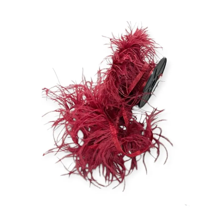 Ostrich Feathers