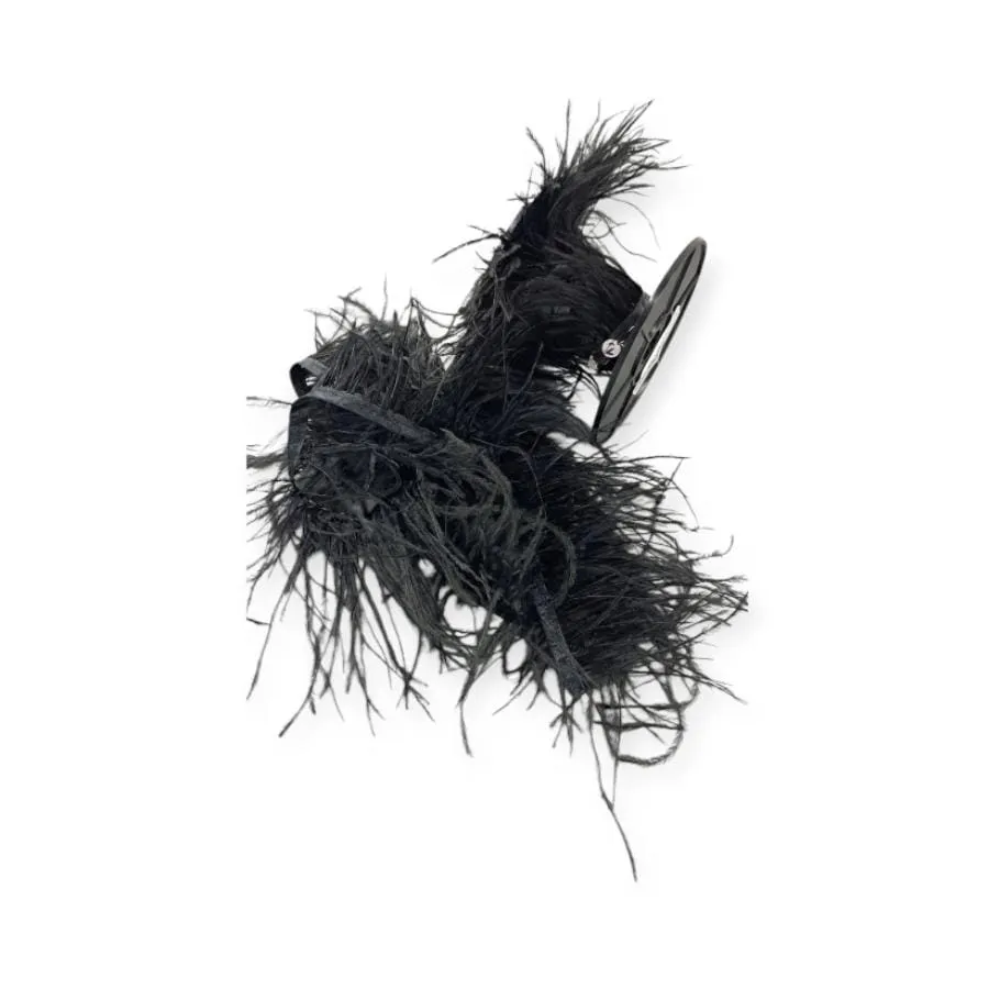 Ostrich Feathers