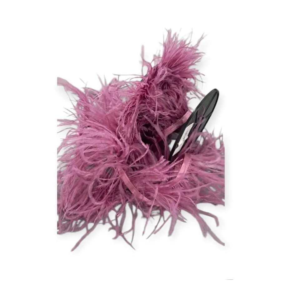 Ostrich Feathers