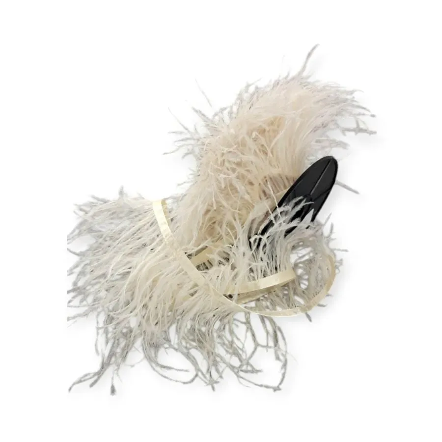 Ostrich Feathers