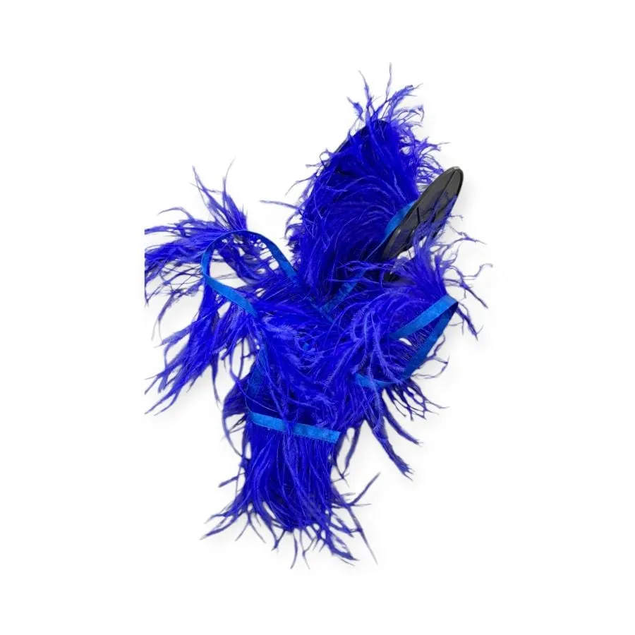 Ostrich Feathers