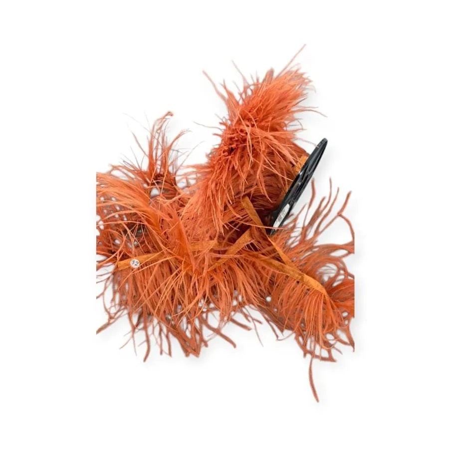Ostrich Feathers