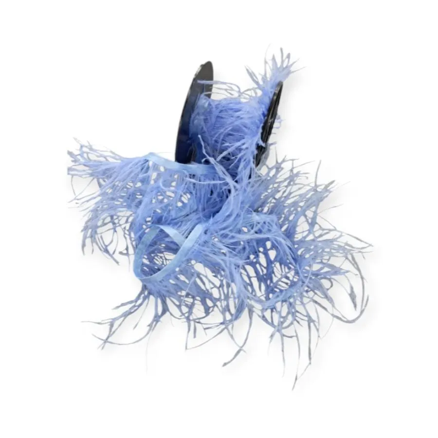 Ostrich Feathers