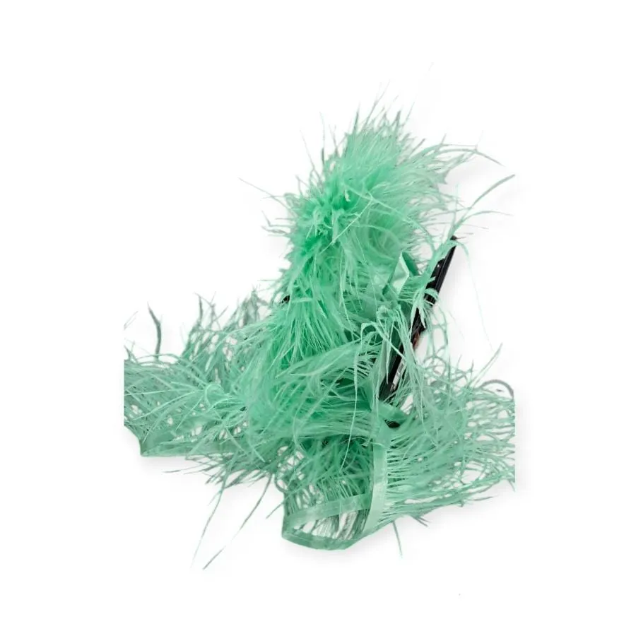 Ostrich Feathers