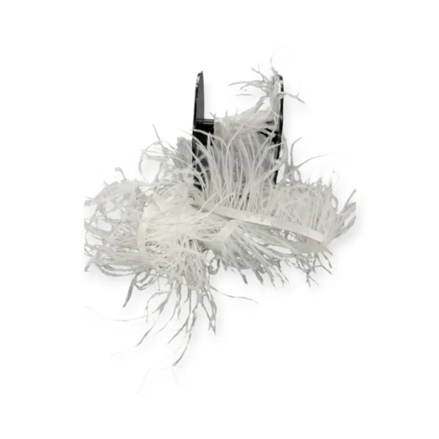 Ostrich Feathers