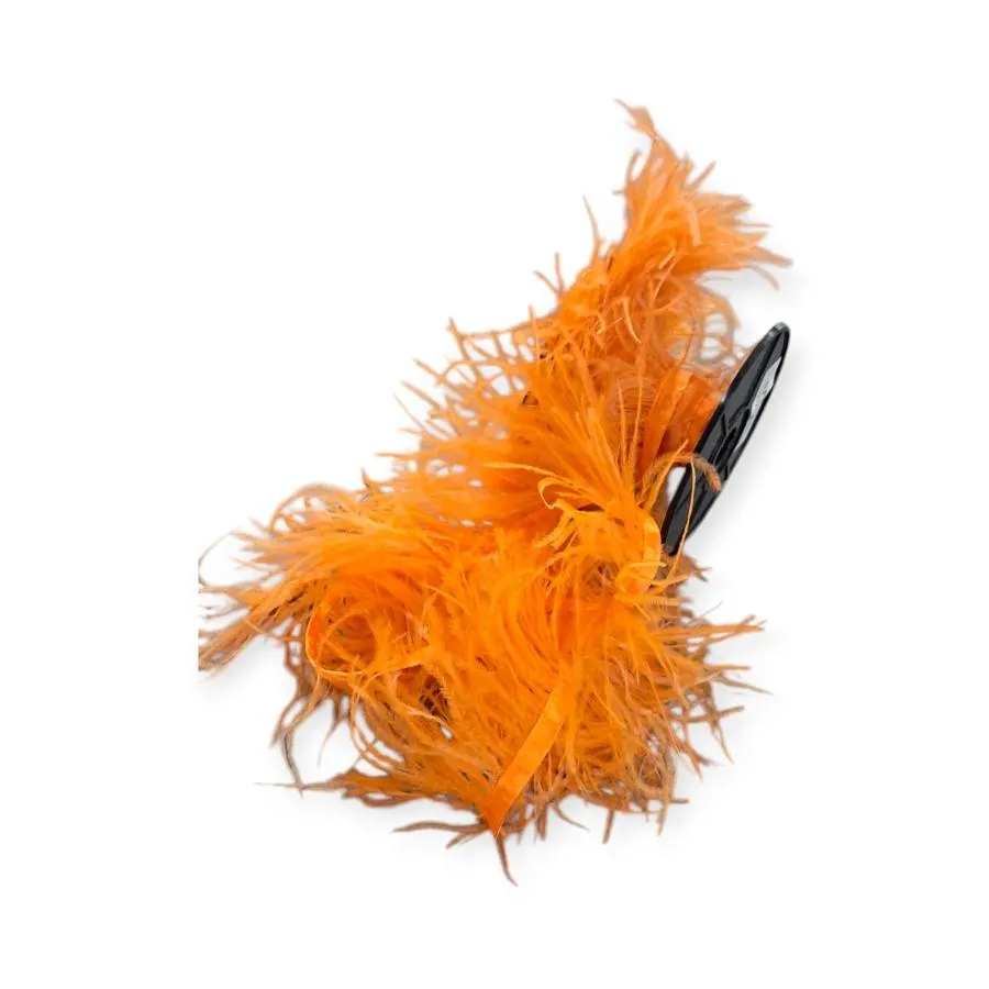 Ostrich Feathers