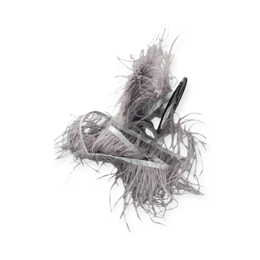 Ostrich Feathers