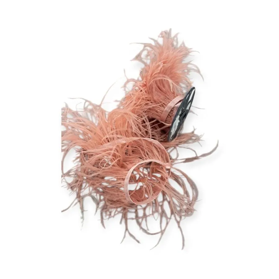 Ostrich Feathers