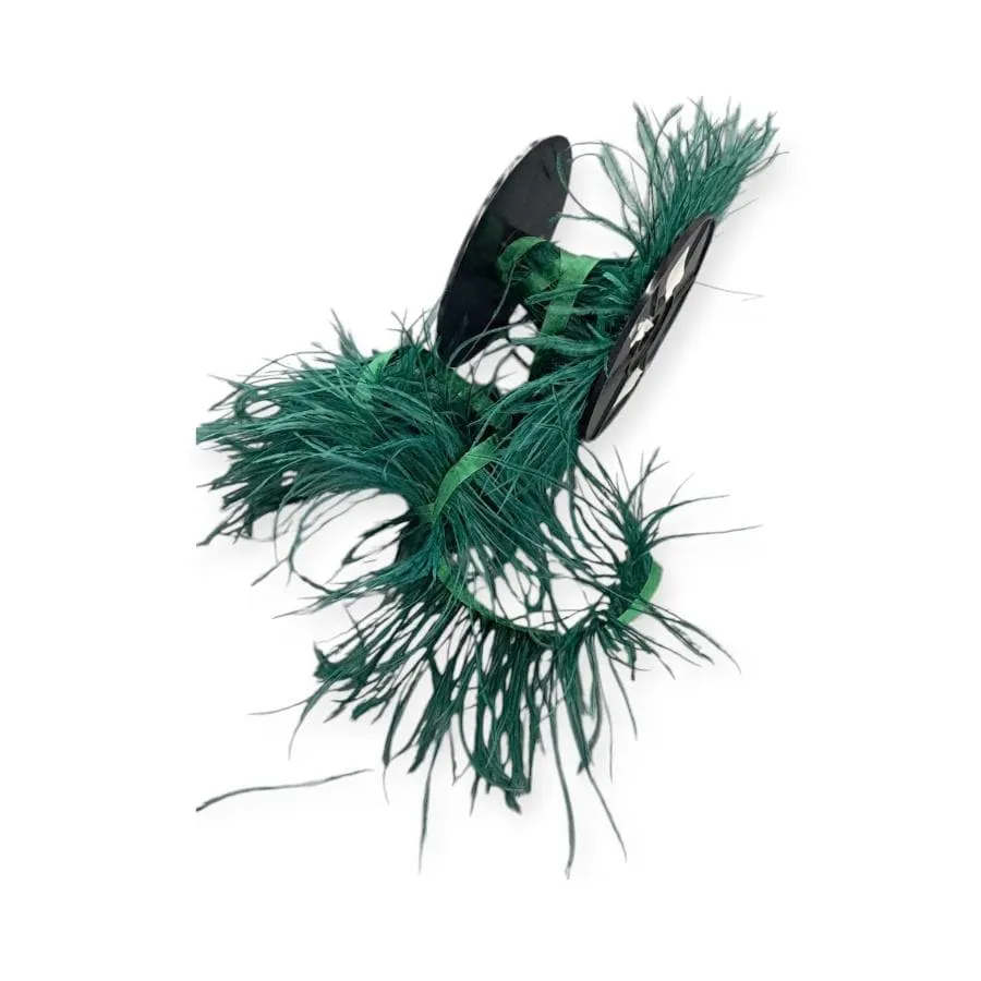 Ostrich Feathers