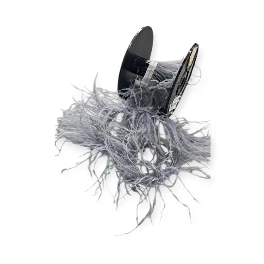 Ostrich Feathers
