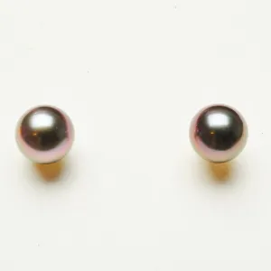Peacock Tahitian Earrings T109
