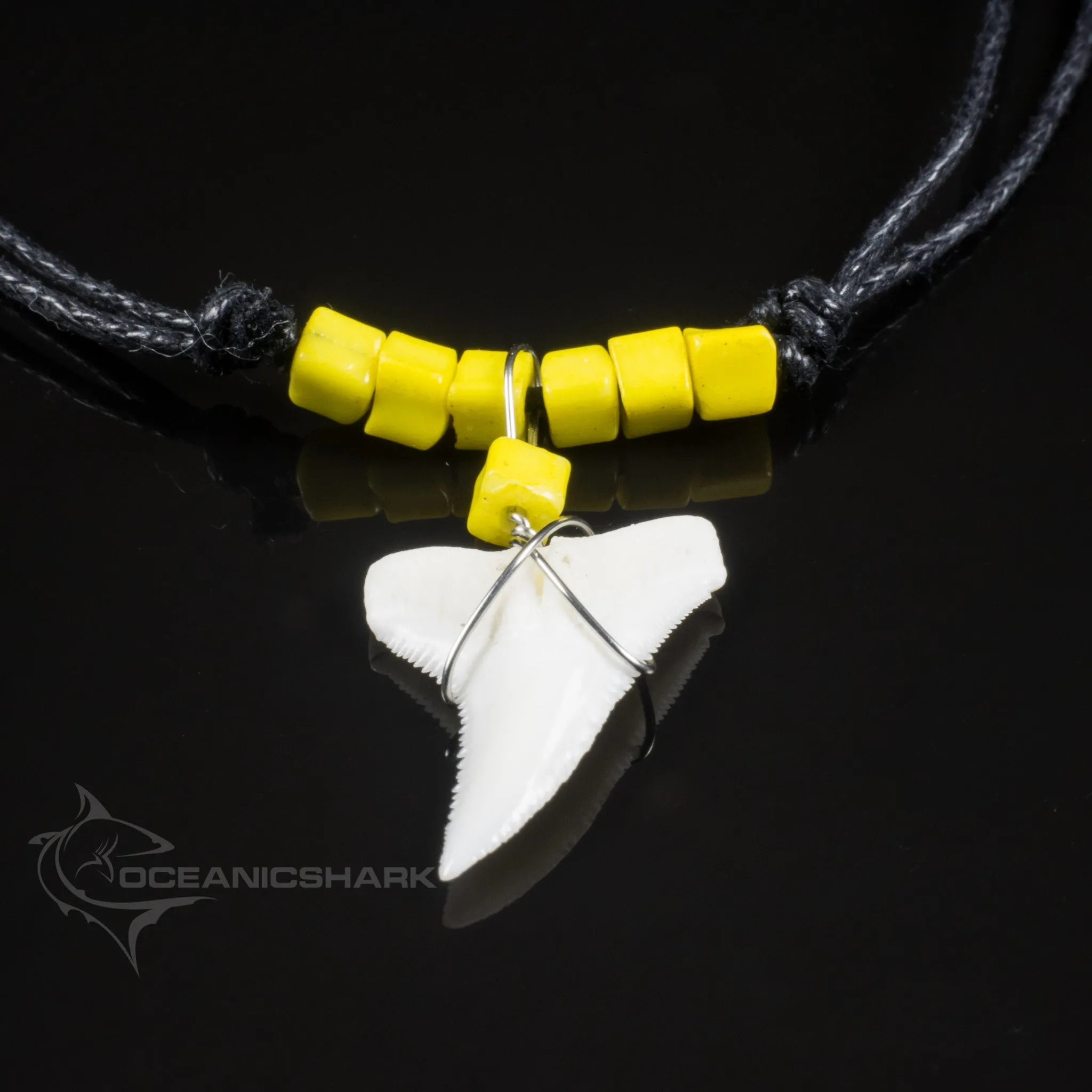 Real Shark Tooth Beach Wear Necklace c17