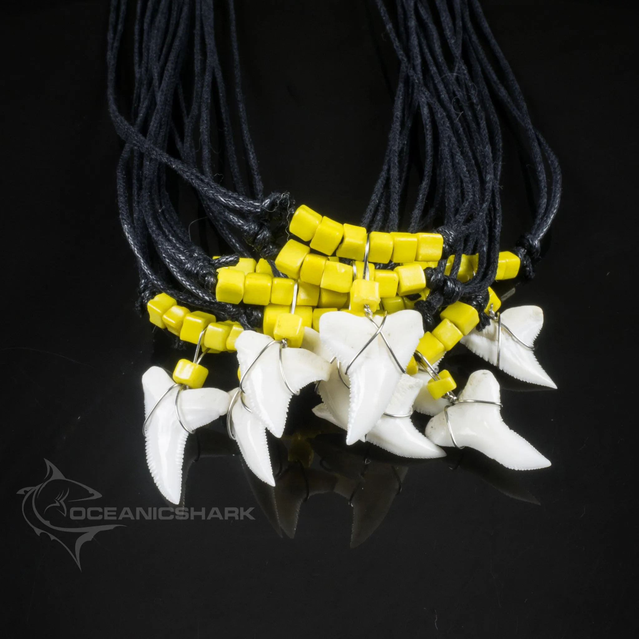 Real Shark Tooth Beach Wear Necklace c17