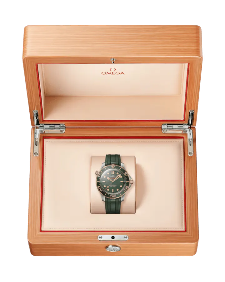 Seamaster Diver 300M Co‑Axial Master Chronometer 42mm Titanium 210.92.42.20.10.001