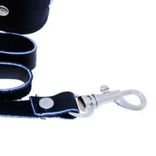 Sportsheets Black Leather Leash and Collar