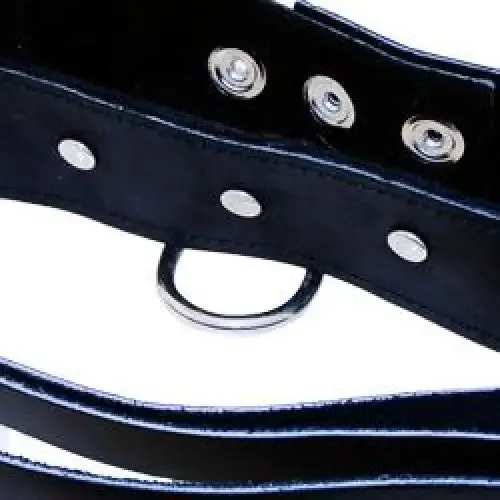 Sportsheets Black Leather Leash and Collar