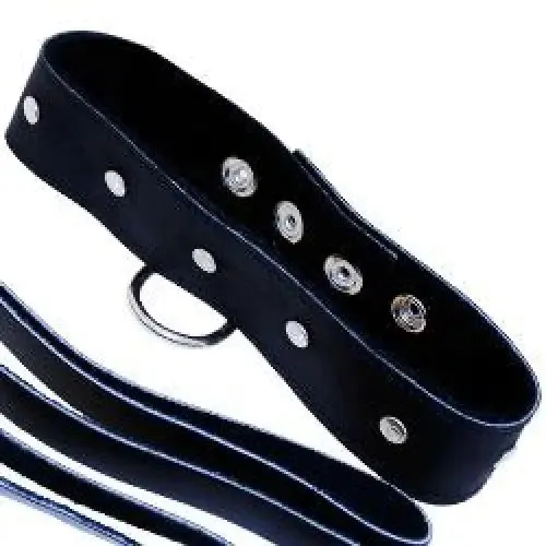 Sportsheets Black Leather Leash and Collar